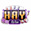 HAYWIN